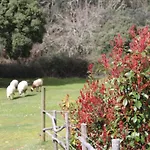 Quinta Da Devesa B1 Apartament