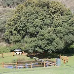 Lejlighed Quinta Da Devesa B1 Vinhais