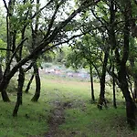 Quinta Da Devesa B1 *