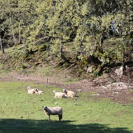 Quinta Da Devesa B1 *