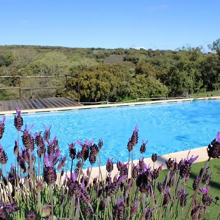 Quinta Da Devesa B1 Apartment