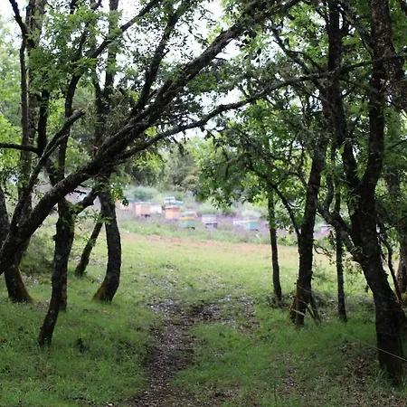 Διαμέρισμα Quinta Da Devesa B1