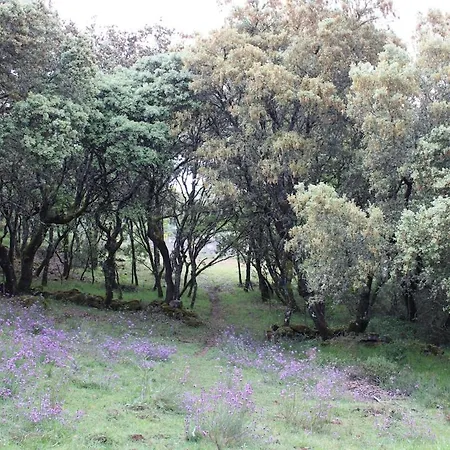 Quinta Da Devesa B1