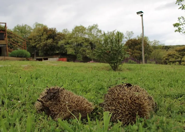 Quinta Da Devesa B1 * Vinhais
