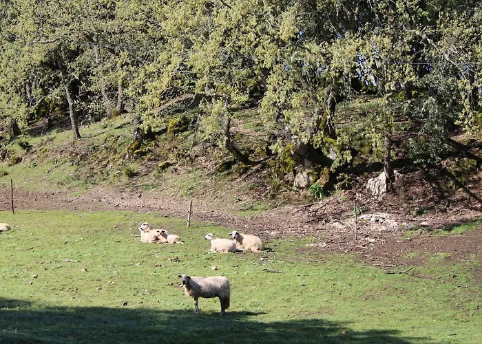 Quinta Da Devesa B1 *