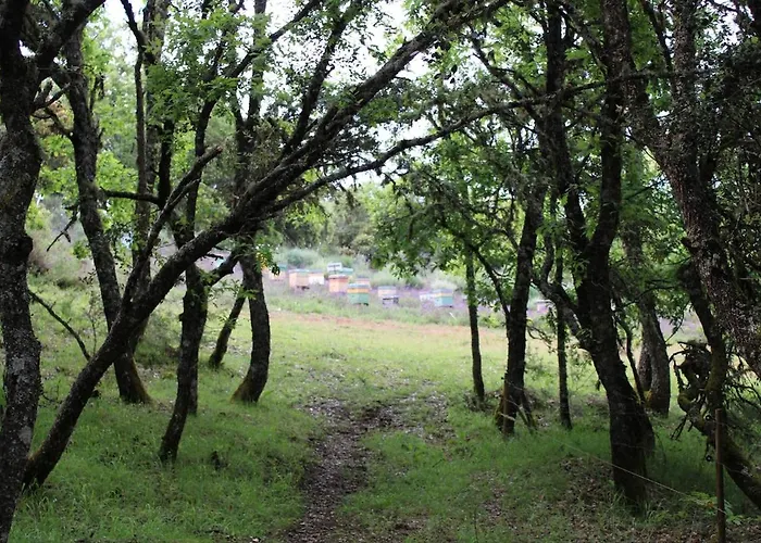 Apartman Quinta Da Devesa B1