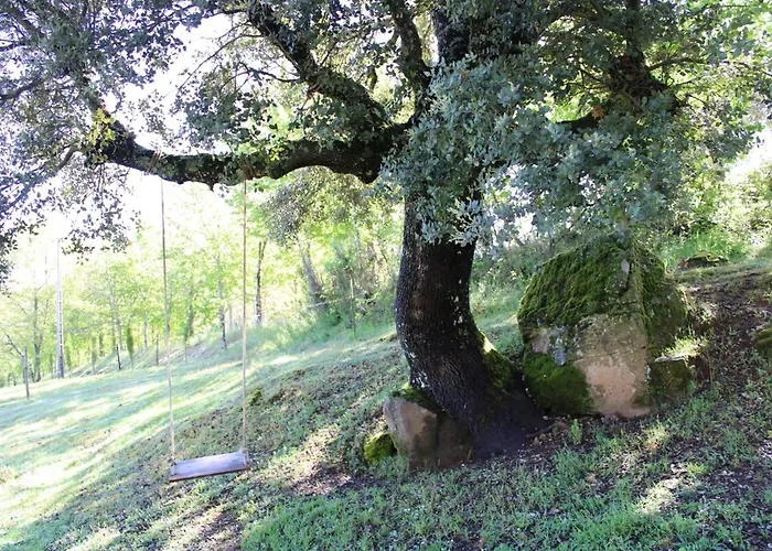 Apartament Quinta Da Devesa B1